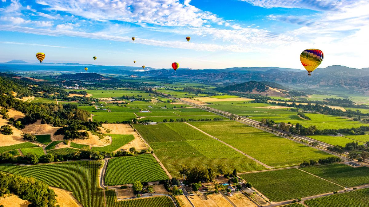 Napa Valley: o destino incontornável do vinho americano