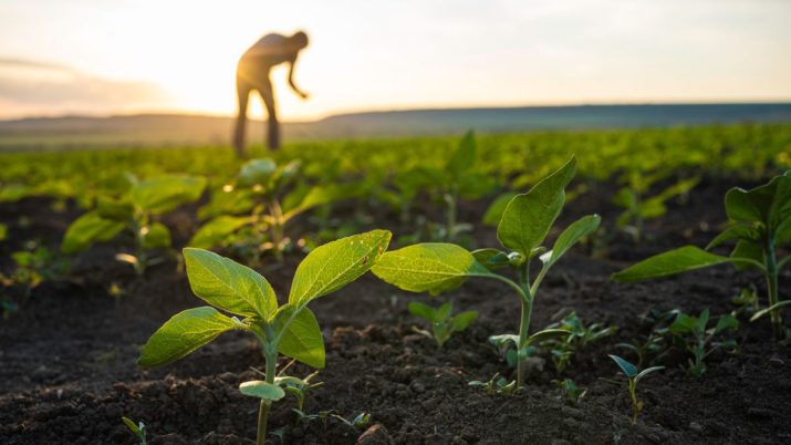 produtos regenerativos agronegócio