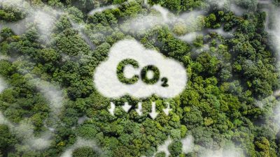 Mercado de crédito de carbono transição energética