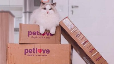 Cade admite Petlove como terceira interessada, e fusão entre Petz e Cobasi pode atrasar