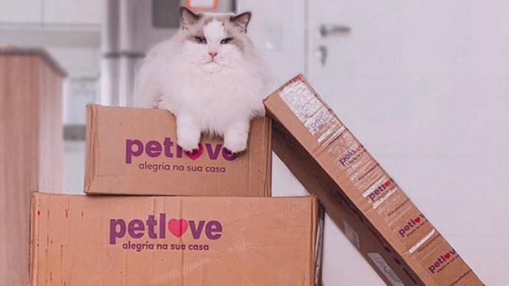 Cade admite Petlove como terceira interessada, e fusão entre Petz e Cobasi pode atrasar