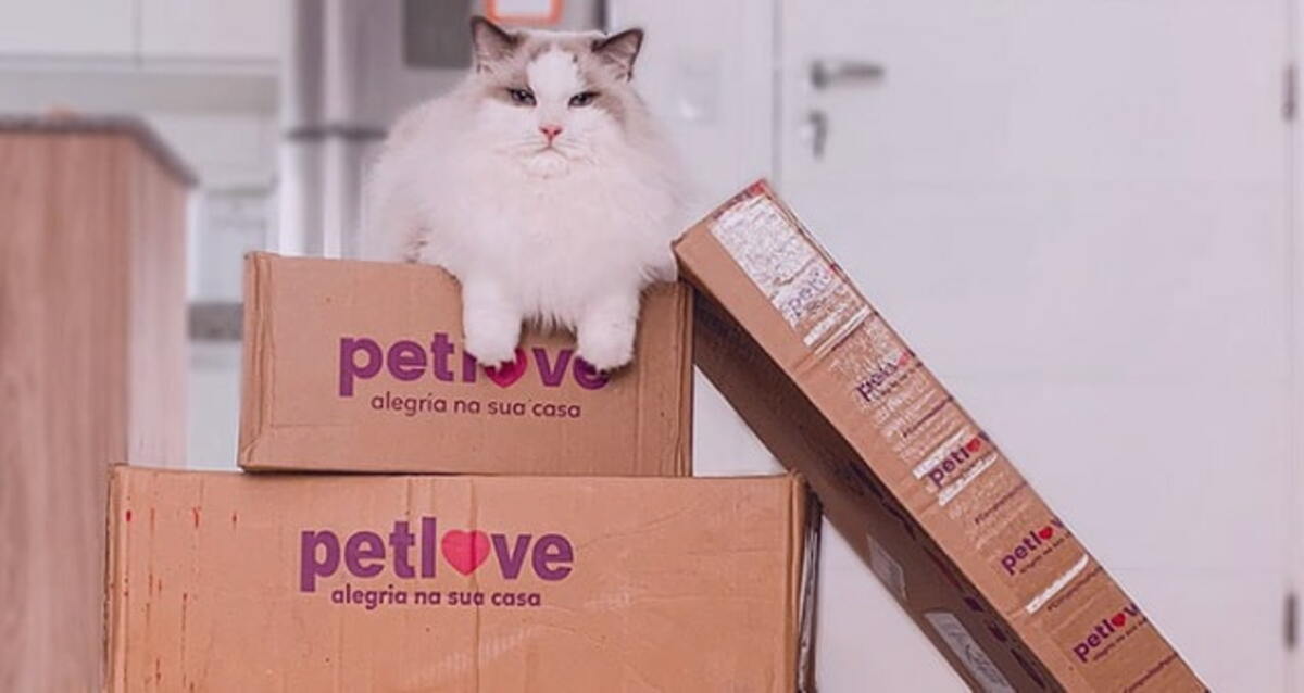 Cade admite Petlove como terceira interessada, e fusão entre Petz e Cobasi pode atrasar