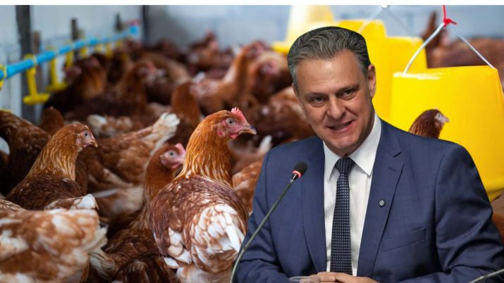 gripe-aviária-brasil-ministro-carlos-fávaro