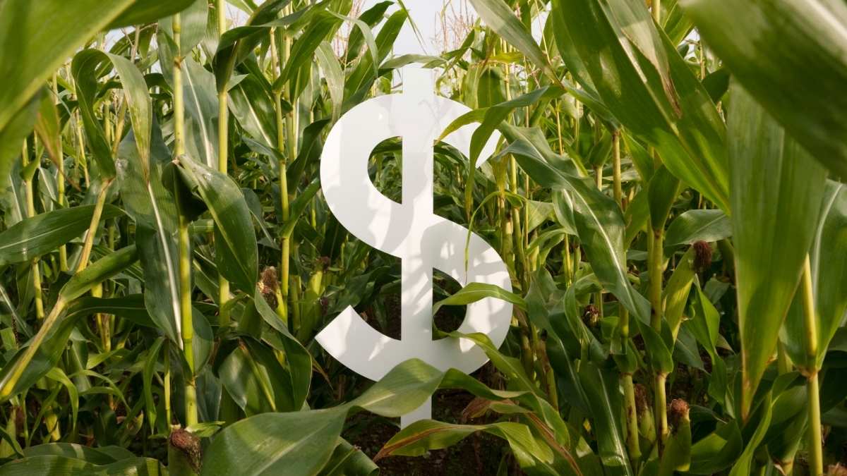 Bilionário do Agro