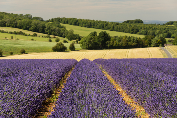 Costwolds, Inglaterra