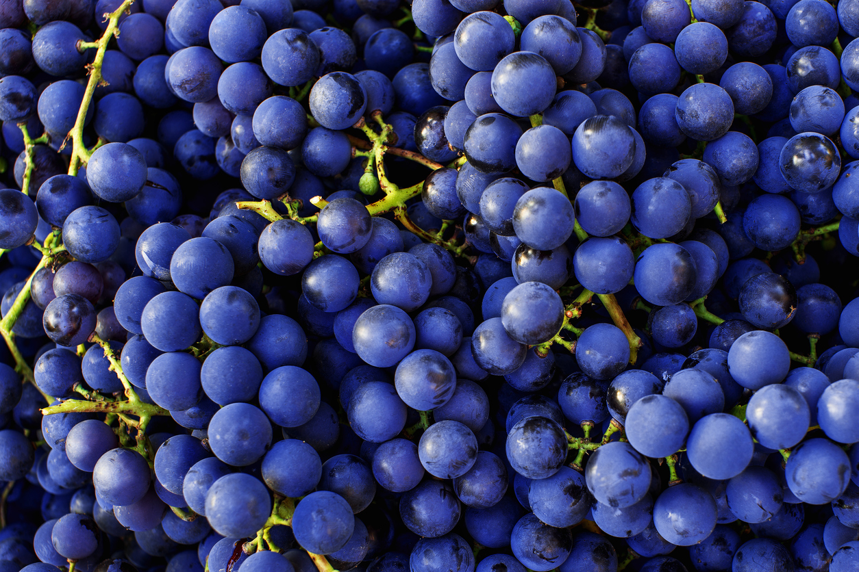 #CabernetDay ocorre anualmente, na quinta-feira que antecede o Dia do Trabalho americano