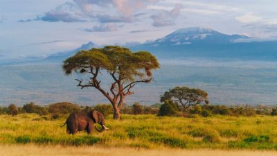 safári áfrica luxo viagem turismo
