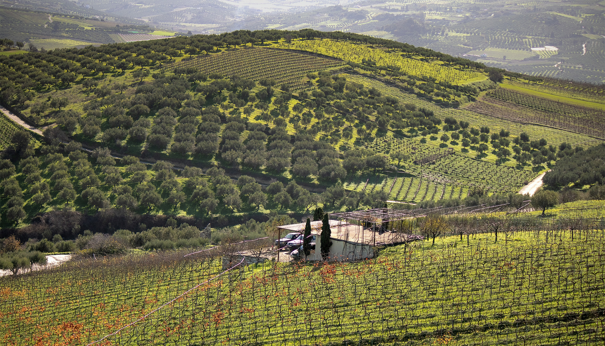 Douloufakis Winery, Creta