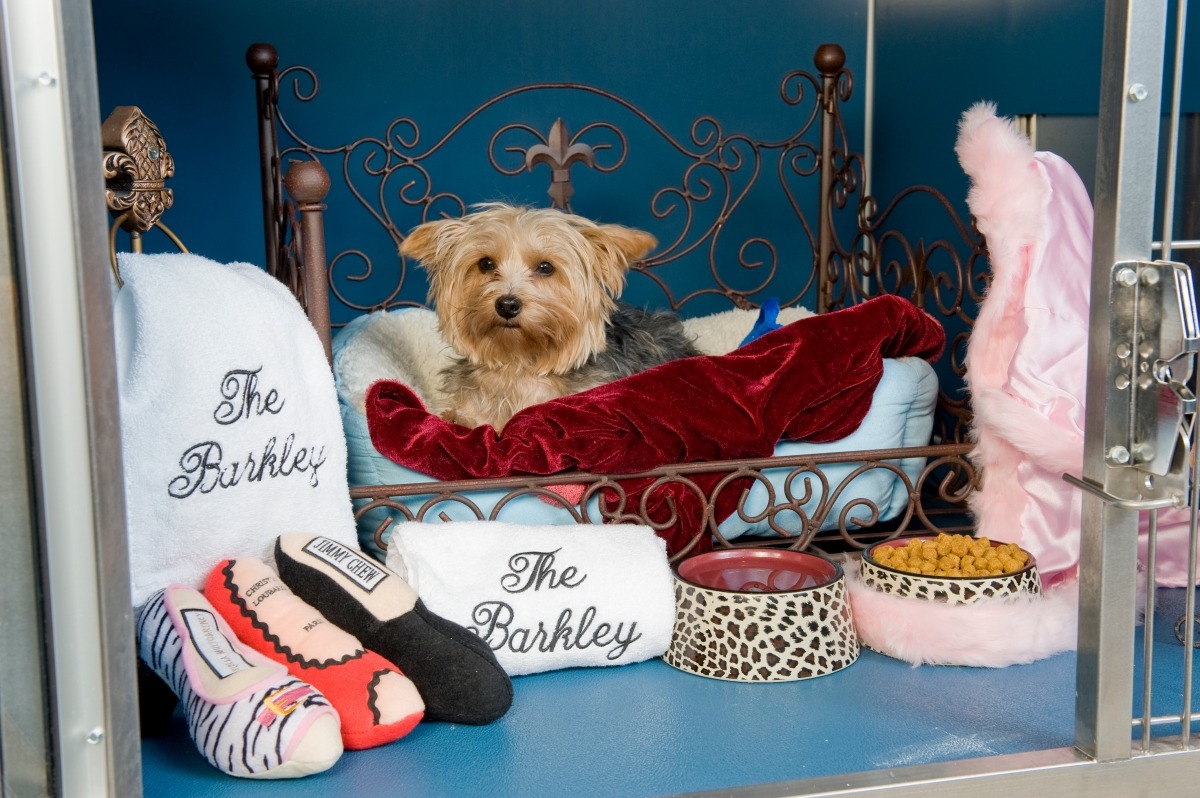 The Barkley Pet Hotel