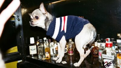 Freni e Frizioni, em Roma, ficou na 58º posição como melhor bar em 2025