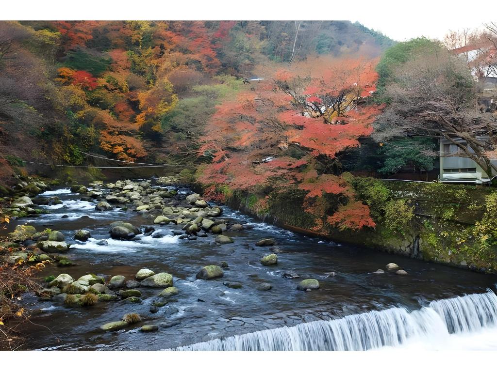 Fukuzumiro, Hakone, Japão