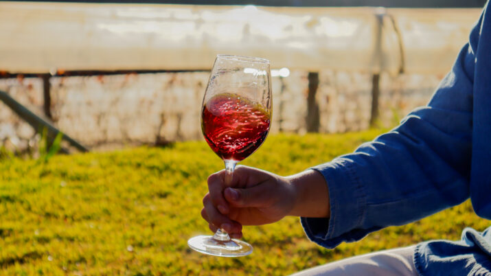 Altitude e condições climáticas desafiadoras ajudam a atribuir características únicas aos vinhos da Serra da Mantiqueira