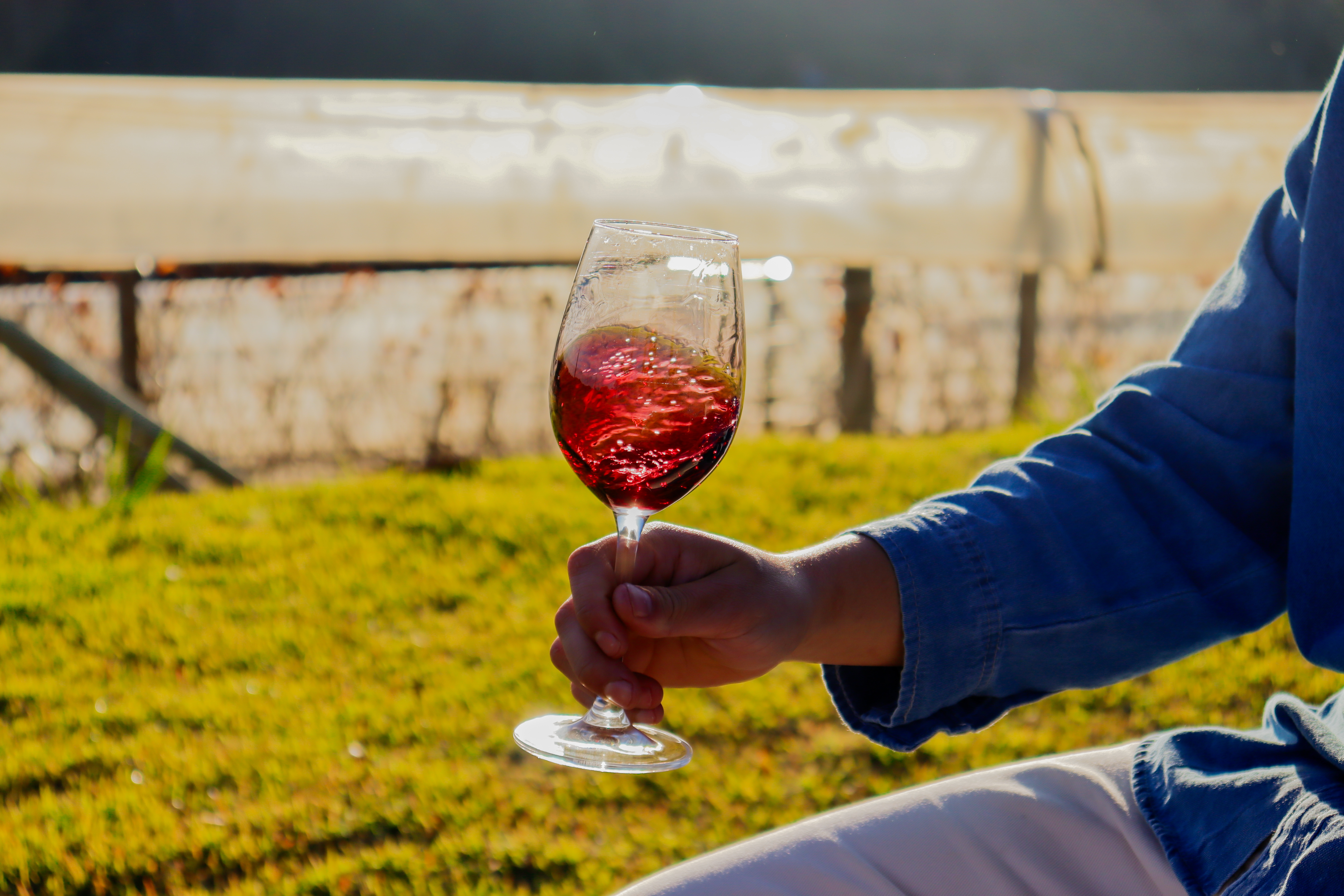 Altitude e condições climáticas desafiadoras ajudam a atribuir características únicas aos vinhos da Serra da Mantiqueira
