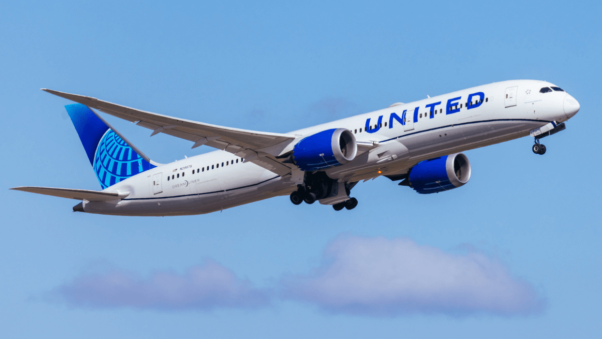 Na  categoria Econômica Básica da United, bagagens de mão tradicionais, que vão no compartimento superior não são permitidas