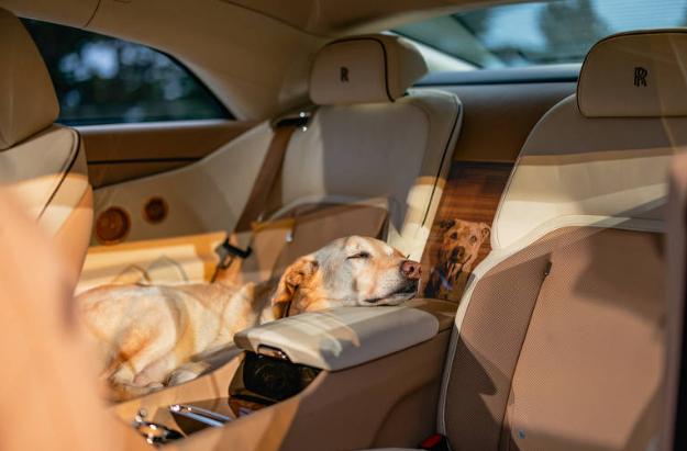 Rolls-Royce Spectre Bailey. Imagem: Divulgação