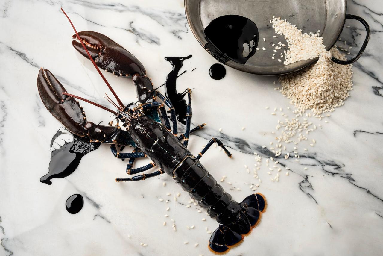 Ingredientes do Can Bosch