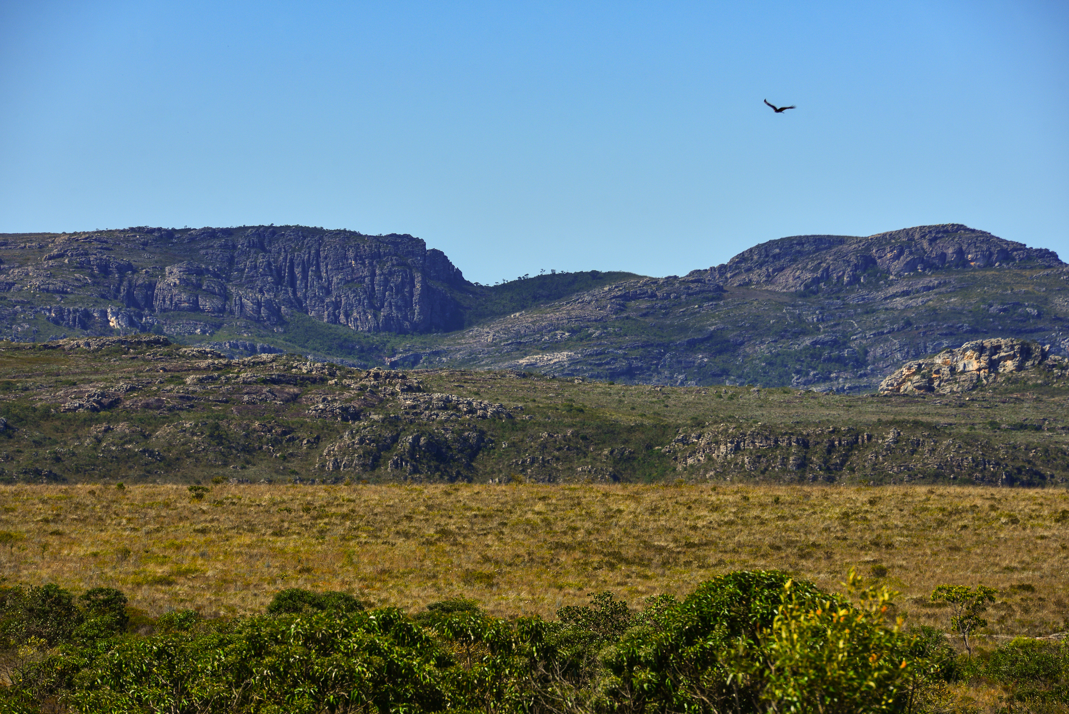 Serra do Espinhaço, que vai do sul de Minas até o norte da Bahia
