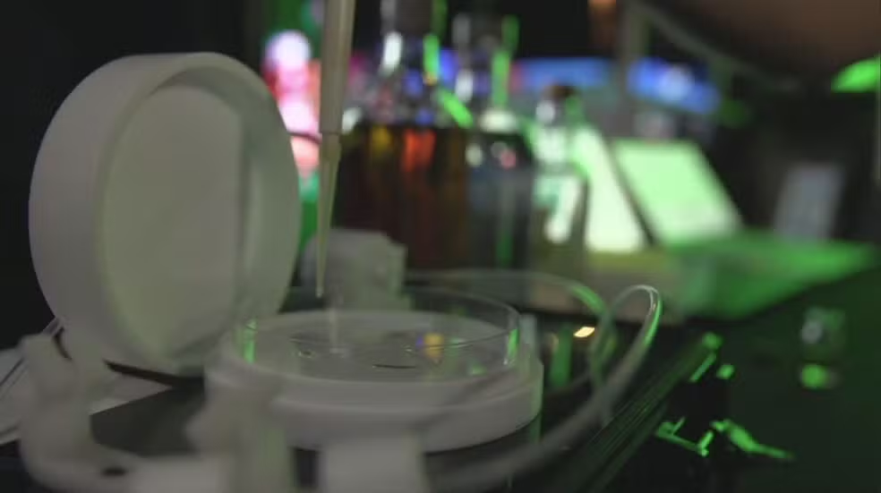 'Nariz eletrônico inteligente' identifica metanol e garante a qualidade de bebidas e alimentos — Foto: TV Globo/Reprodução