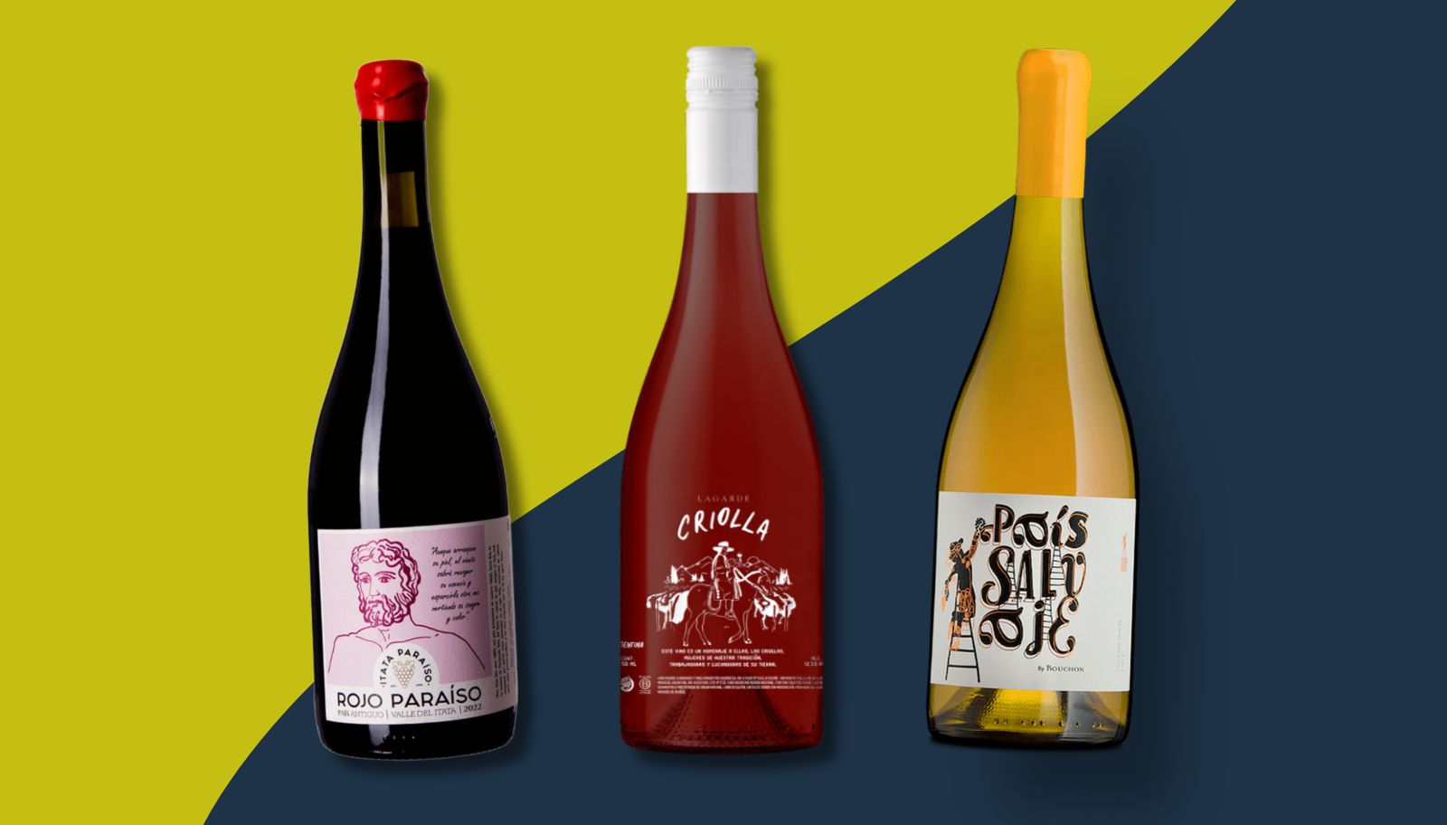 Uvas Criollas, um grupo de castas autóctones da América do Sul, são tendência