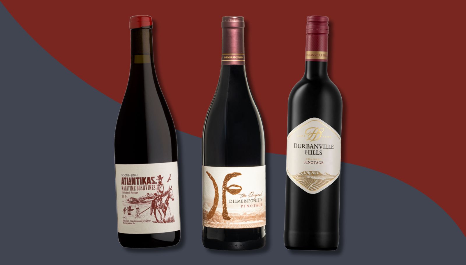 Pinotage, cepa agora centenária, chega com bons rótulos e expressão internacional