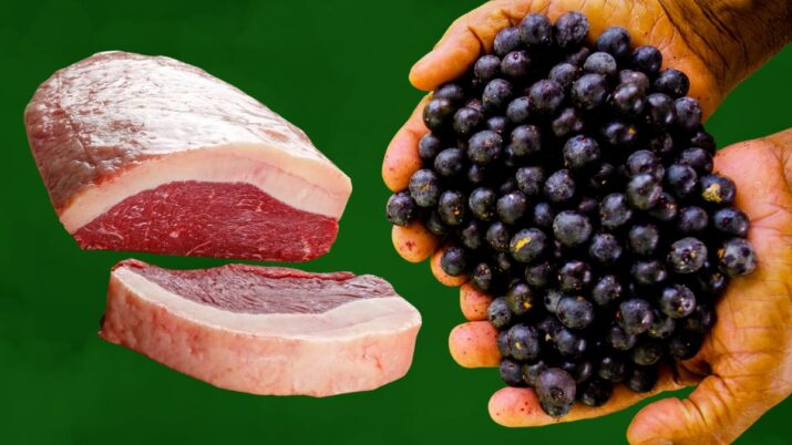 Carne a açaí estão entre os produtos agropecuários brasileiros beneficiados pela retirada das tarifas dos EUA