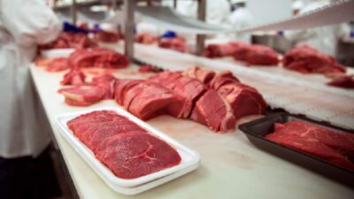 Embalagem de carne bovina em frigorífico