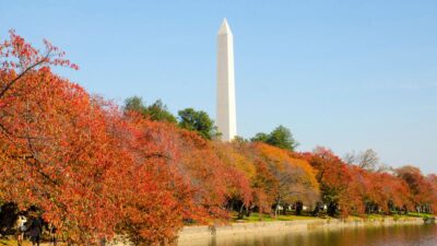 Washington D.C., a capital dos EUA, é o destino que sofre o maior impacto turístico durante as paralisações