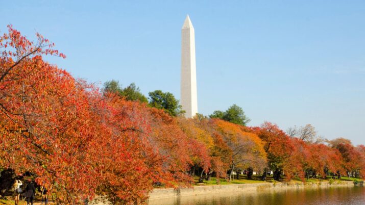 Washington D.C., a capital dos EUA, é o destino que sofre o maior impacto turístico durante as paralisações