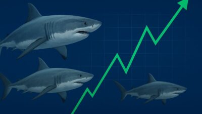 Montagem com tubarões e um gráfico de cotações da bolsa