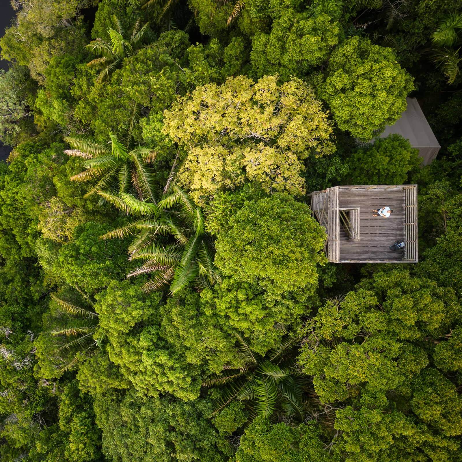 Anavilhanas Jungle Lodge 5