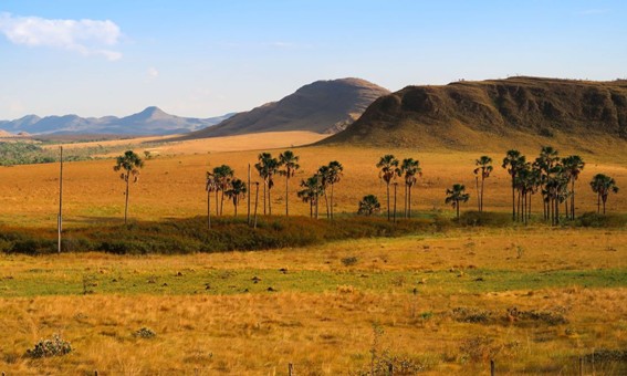 Chapada dos Veadeiros