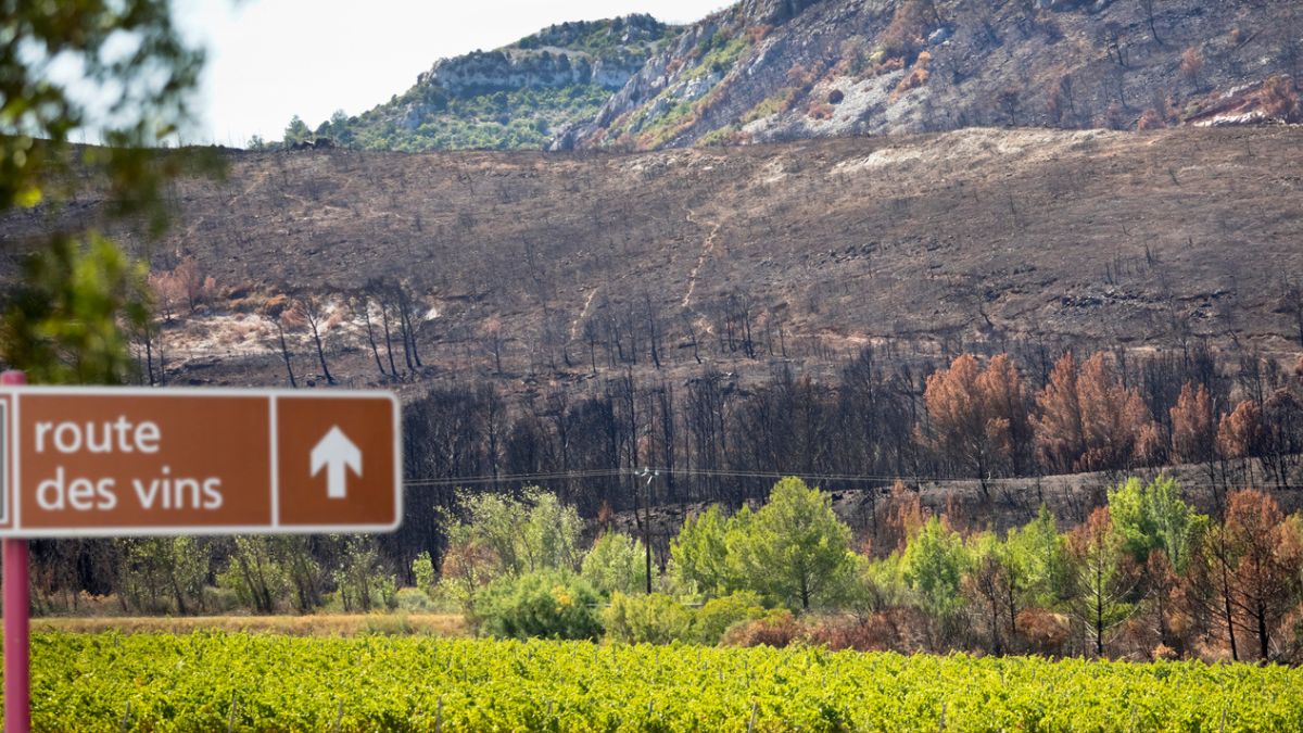 Um incencio florestal em Corbières, no departamento de Aude, sul da França, em agosto deste ano, foi o maior em 80 anos, destruiu 17 mil hectares e afetou gravemente a produção de vinho na região