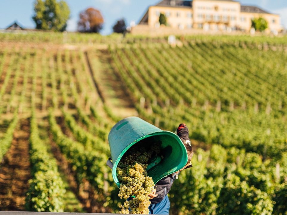 Schloss Johannisberg