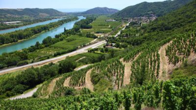 Região Vinícola do Vale do Ródano, na região de Provença, na França