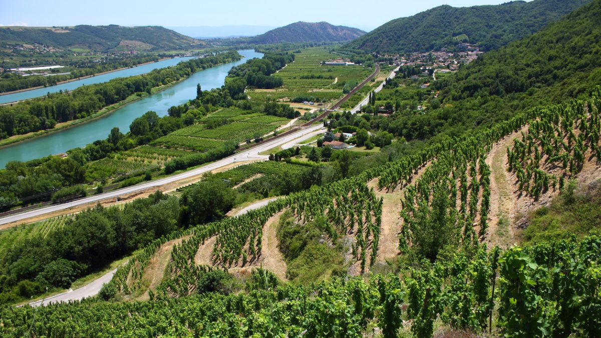 Região Vinícola do Vale do Ródano, na região de Provença, na França