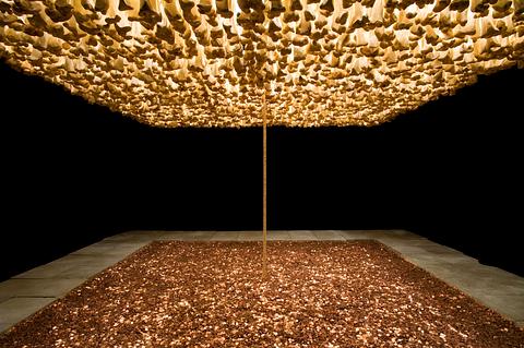 Missão/Missões (Como construir catedrais), 1987
Cildo Meireles
600.000 moedas de metal, 2.000 ossos, 800 hóstias, 86 pedras de 50 x 50 cm e tecido preto