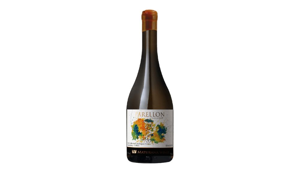 Maturana Parellon Semillon