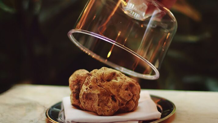 Nino Cucina tem entrada, prato principal e sobremesa inspirada por trufas