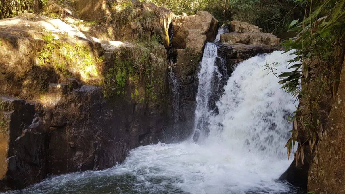 Imagem: Prefeitura São José dos Campos