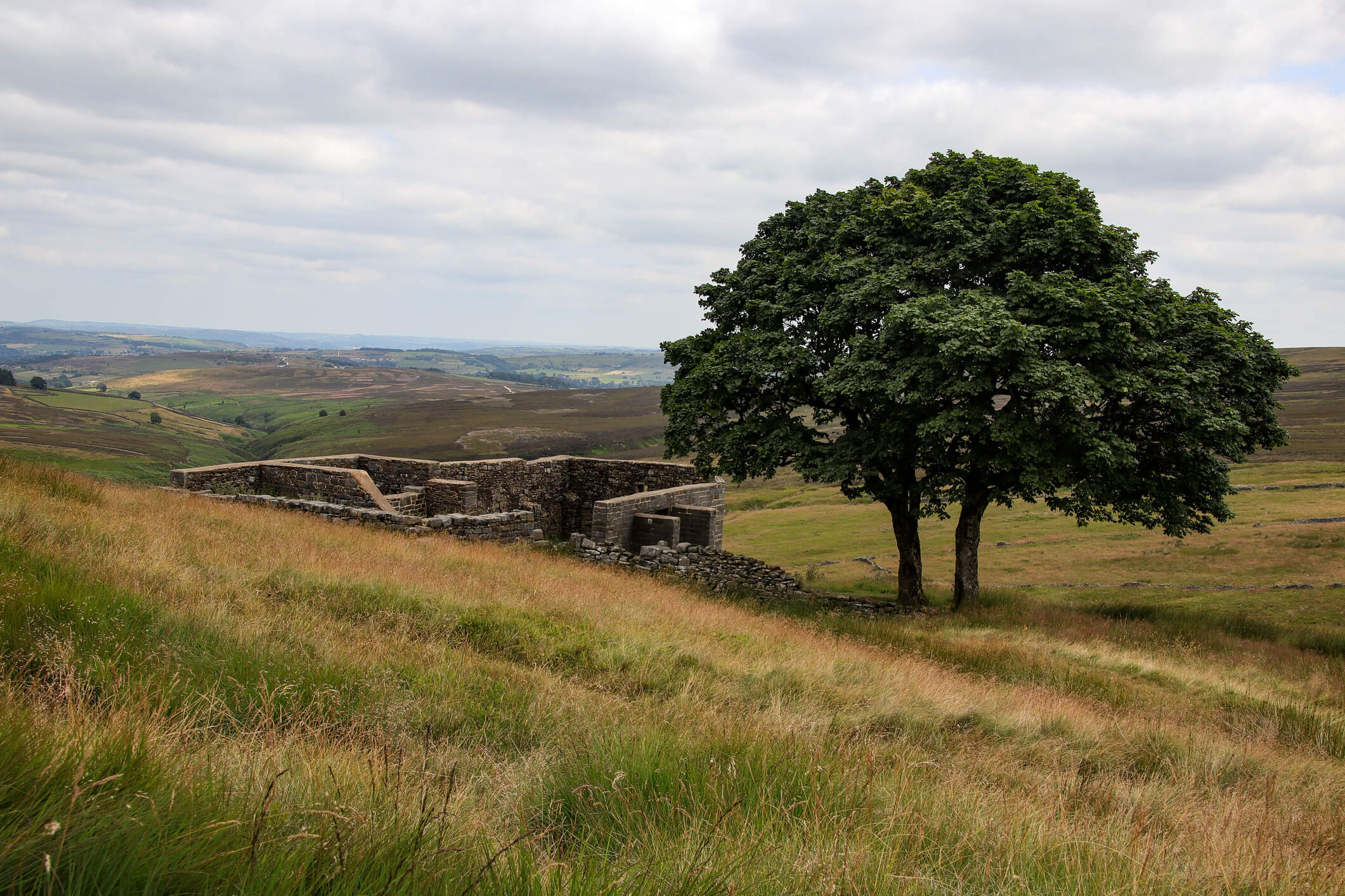 Photos of Top Withins - inspiration for Emily Brontë’s Wuthering Heights - ruined and abandoned since the 1930s, the land was occupied for centuries until its isolated location proved too hard to sustain