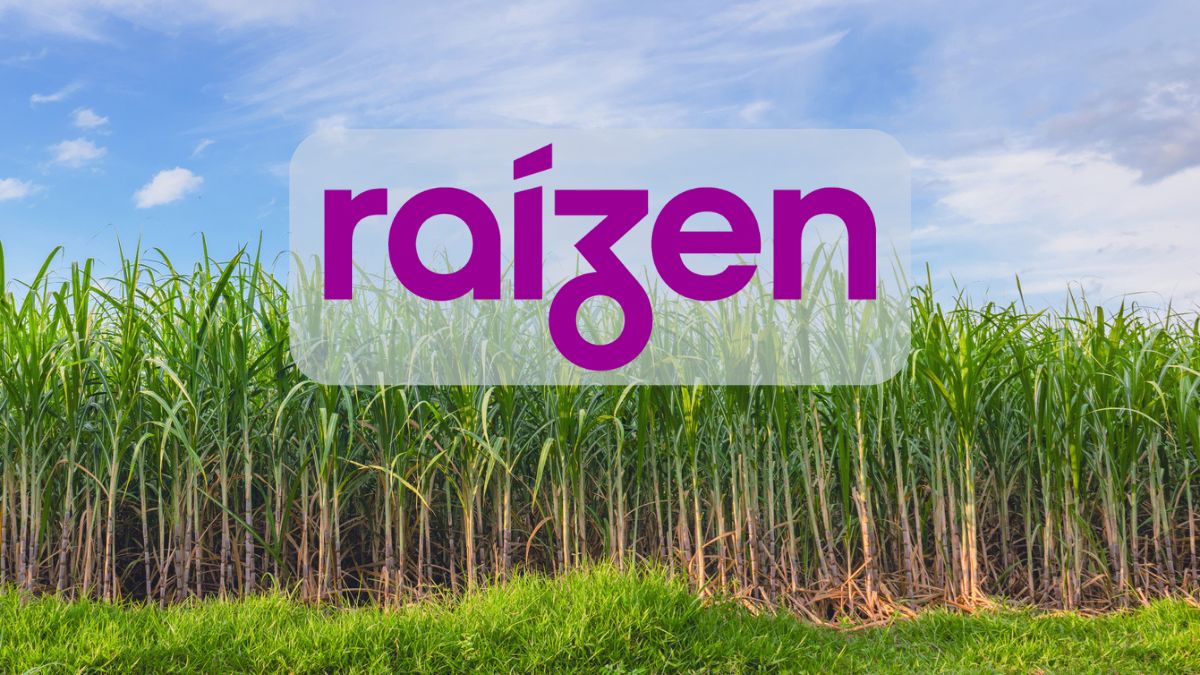 Raízen se desploma casi 40% mientras el Ibovespa sigue en alza