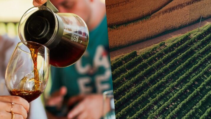 Mais que bebida ou commodity, café virou turismo no Brasil