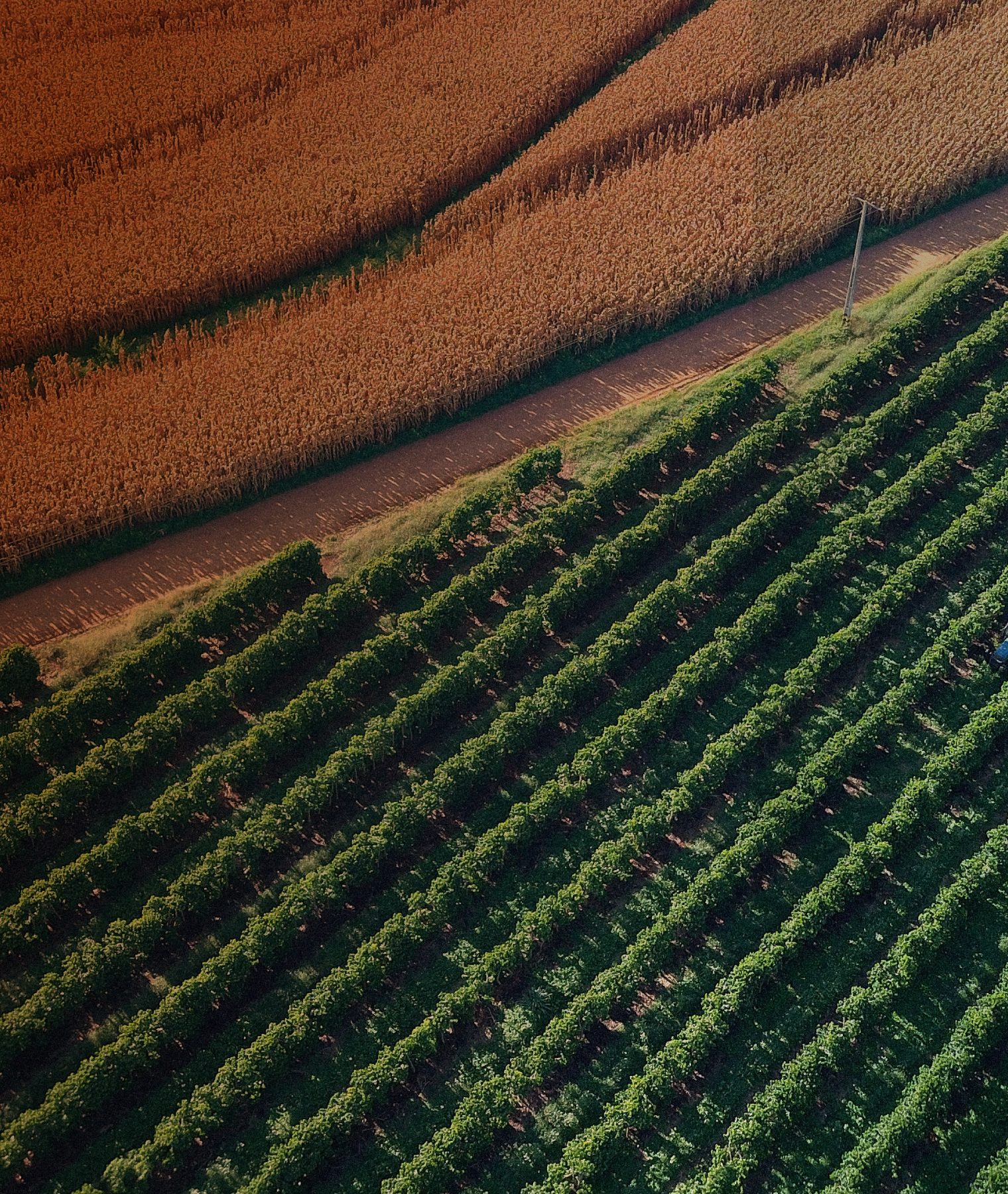 Fazenda Santa Cruz da Vargem Grande