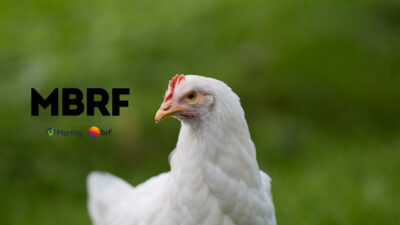 mbrf mbrf3 oriente médio jp morgan irã