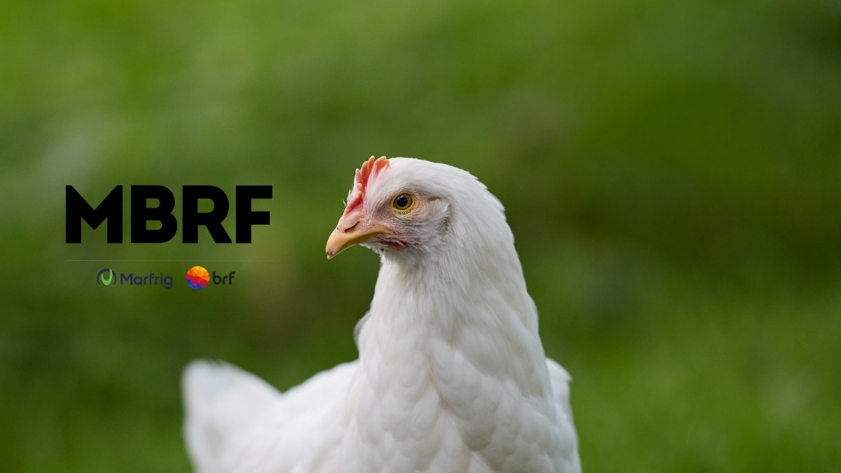 MBRF3 cae 10% tras venta de acciones por fondo árabe