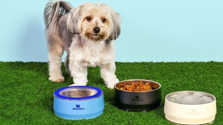 Pet bowls são o lançamento da Stanley no Brasil