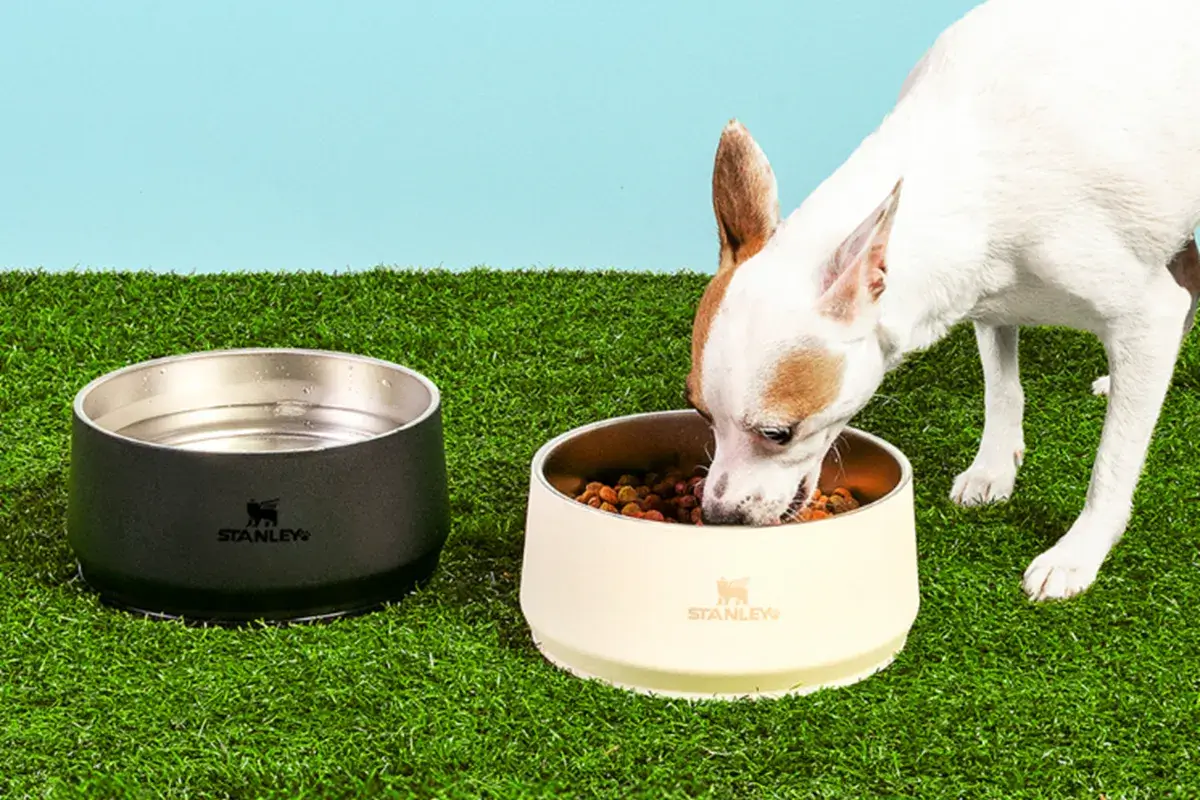 Comedouros vêm em dois tamanhos, quatro cores e podem chegar a R$ 359