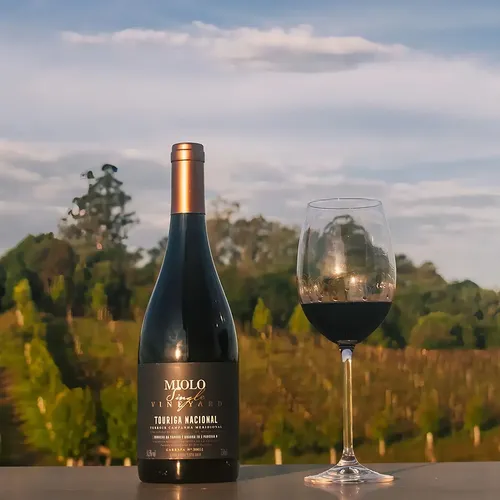 Miolo Single Vineyard Touriga Nacional