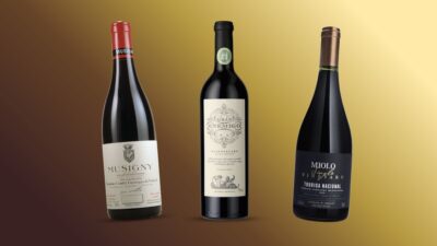 Single vineyard: um vinho que nasce de uma única parcela de uva de um determinado vinhedo