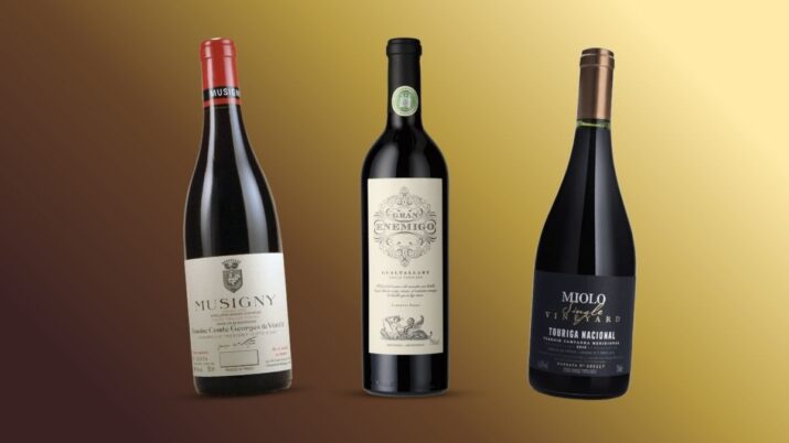 Single vineyard: um vinho que nasce de uma única parcela de uva de um determinado vinhedo